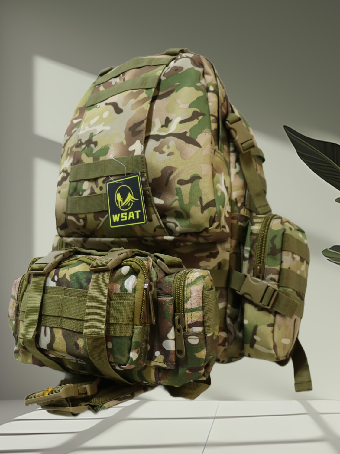 213-cp-2.jpg